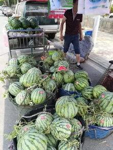 自贡网红吃瓜事件视频,一场网络狂欢背后的真相揭秘